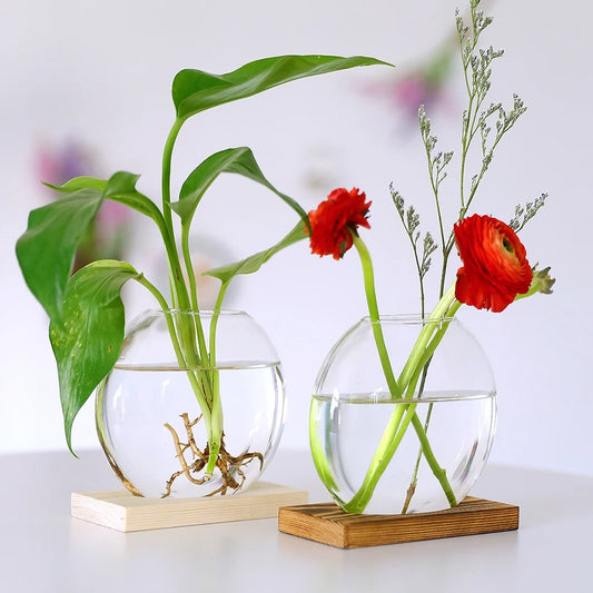 Hydroponic Plant Vase