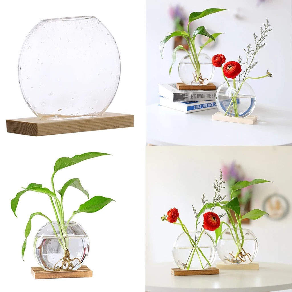 Hydroponic Plant Vase