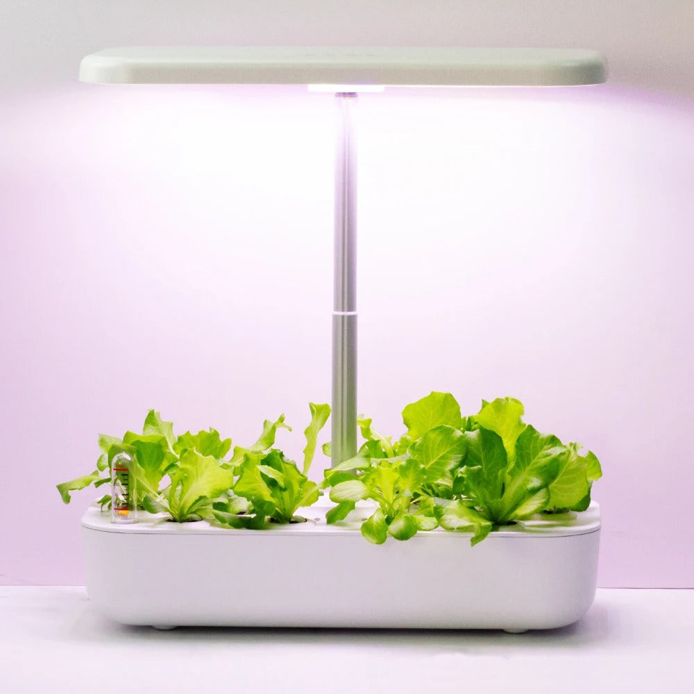 Hydroponic Growing System