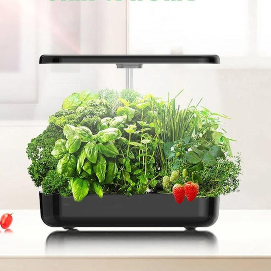 Hydroponic Growing System